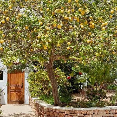Valley Club Ibiza - Boutique مزرعة للإقامة