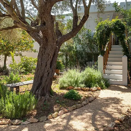 Valley Club Ibiza - Boutique Agroturismo Sant Joan De Labritja