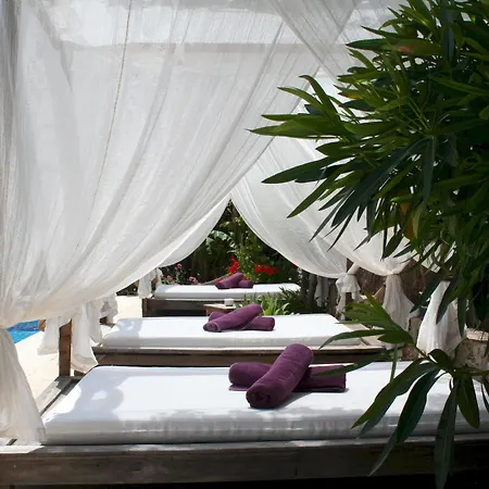 Valley Club Ibiza - Boutique Agroturismo Çiftlik konaklama Sant Joan De Labritja