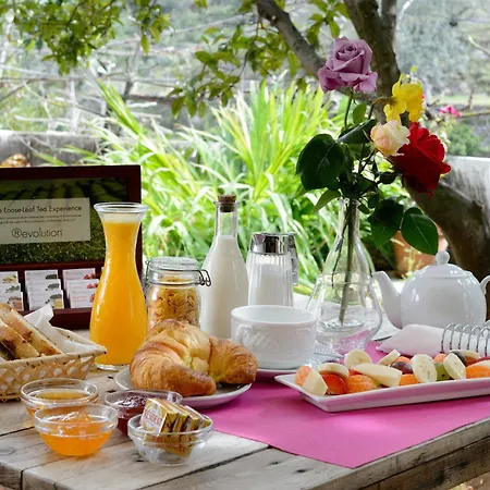 Valley Club Ibiza - Boutique Agroturismo