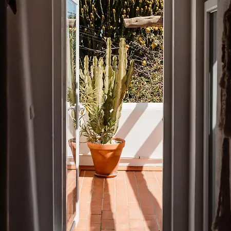 Valley Club Ibiza - Boutique *