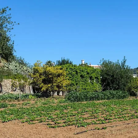 בית חווה Valley Club Ibiza - Boutique