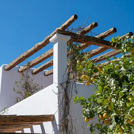 팜스테이 Valley Club Ibiza - Boutique 산트 호안 데 라브리트하